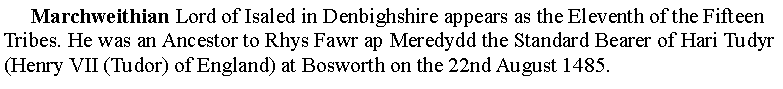 Text Box:      Marchweithian Lord of Isaled in Denbighshire appears as the Eleventh of the Fifteen Tribes. He was an Ancestor to Rhys Fawr ap Meredydd the Standard Bearer of Hari Tudyr (Henry VII (Tudor) of England) at Bosworth on the 22nd August 1485.